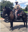 Mounted Patrol