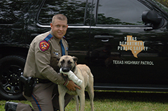 New Teams to Canine Program