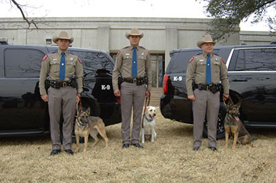 DPS canine teams