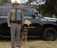 DPS canine team