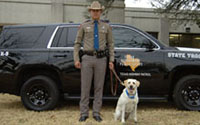 DPS canine team