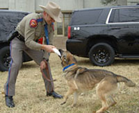 DPS canine team