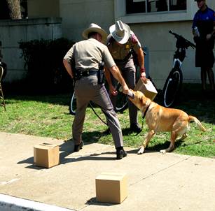 DPS Canine