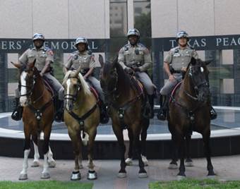 Mounted Patrol