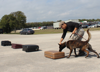 DPS canine team