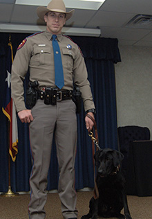 DPS canine teams