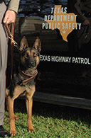 DPS canine team