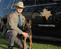 DPS canine team