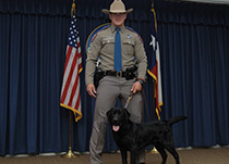 DPS canine team