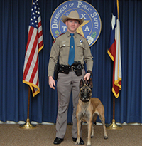 DPS canine team