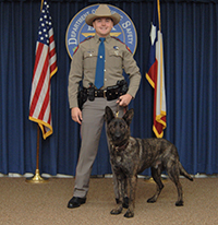 DPS canine team